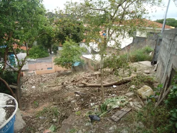 Imagem Terreno à venda em Butantã, São Paulo - SP