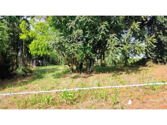 Imagem Terreno CHAPECÓ - SC