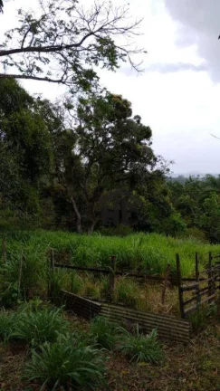 Imagem Chácara com 6 Quartos à Venda ou Locação, 300 m² em Vila Do Pinheiro - Paudalho
