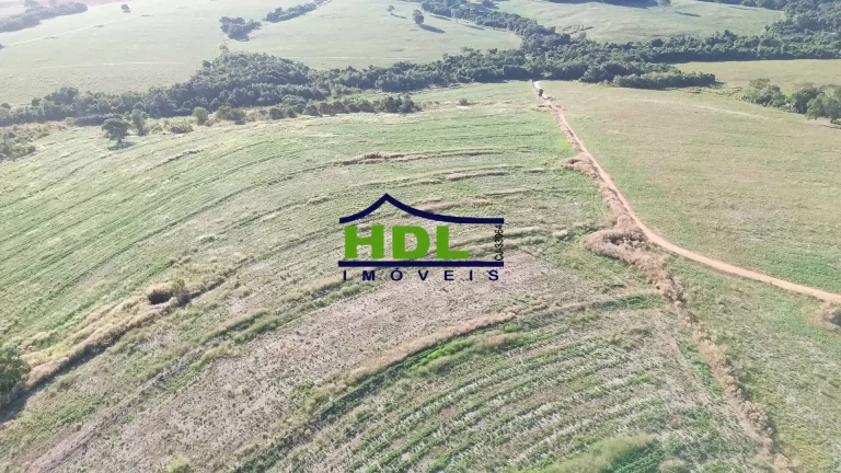 Imagem Fazenda Top 243 Ha alta produtividade em Piracanjuba GO