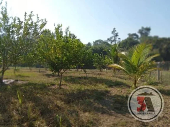 Imagem Chácara 2,5 hectares no Areia Branca