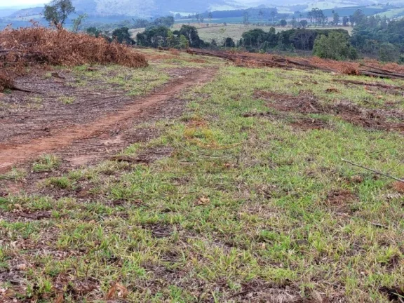 Imagem Fazenda - Santo Antônio do Amparo - Zona Rural