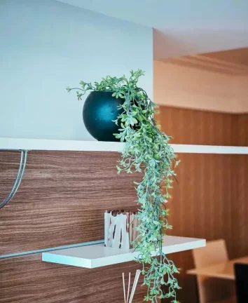 Imagem Apartamento Vista Mar com 3 dormitórios sendo 1 suíte e 1 vaga de garagem em Balneário Camboriú