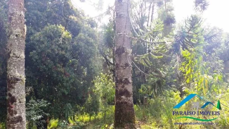 Imagem Paraíso para amantes da natureza: Terreno com cachoeira em Gonçalves!