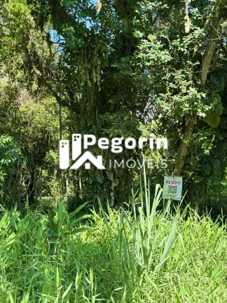 Imagem Terreno em Balneário Brandalize, Itapoá/SC