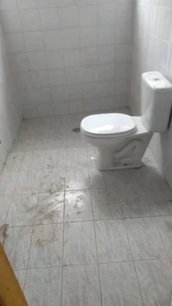 Imagem Casa Térrea Vila Libanesa - 240 m² - 3 Dormitórios - Edícula com 2 Suítes - Quintal - 4 Vagas - Aceita Financiamento