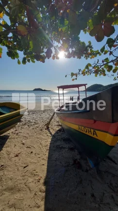 Imagem APARTAMENTO RESIDENCIAL em GOVERNADOR CELSO RAMOS - SC, Praia de Palmas