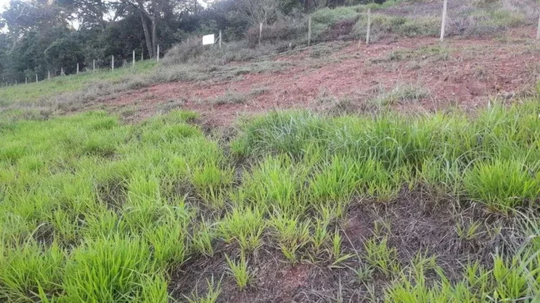 Imagem Lote à venda em Barbacena, SERRA VERDE