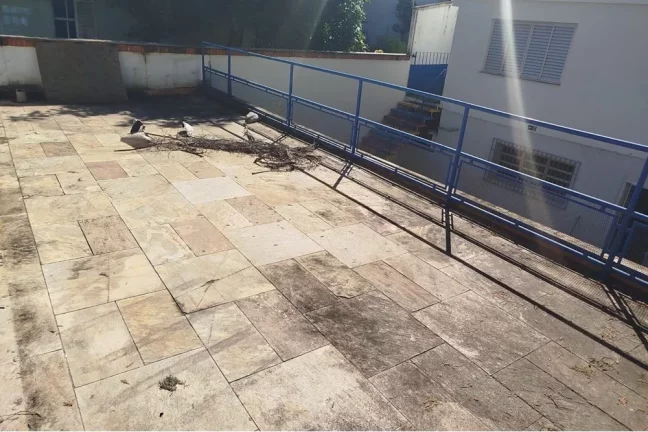 Imagem EXCELENTE OPORTUNIDADE! PRÉDIO COMERCIAL PARA LOCAÇÃO EM OSASCO
