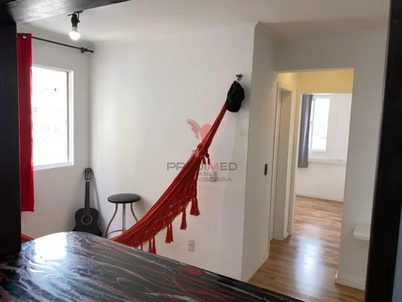 Imagem Apartamentos 2 dorm à Venda SC/ Em São José Serraria
