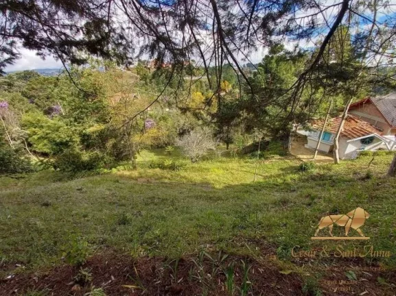 Imagem Belo Lote a venda
