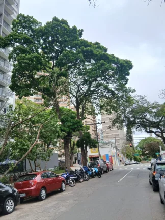 Imagem ALUGO LINDO APARTAMENTO DE 01 DORMITÓRIO NO BAIRRO CAMPO BELO!