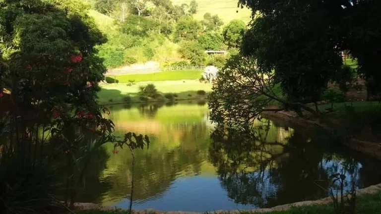 Imagem Imóvel