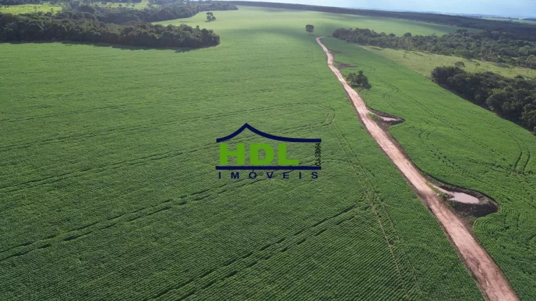 Imagem Fazenda 70 Alqs Dupla Aptidão plantada em Soja em Bela Vista GO