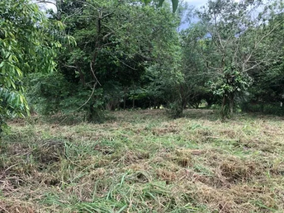 Imagem TERRENO À VENDA, 1000 M² POR R$ 139.500 - NOVA CIDADE - MACAÉ/RJ