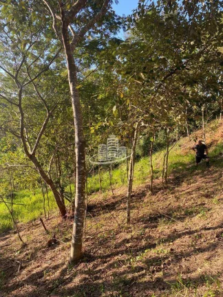 Imagem Terreno Padrão