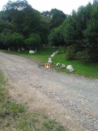 Imagem Chácara à Venda, 15 m² em Piên