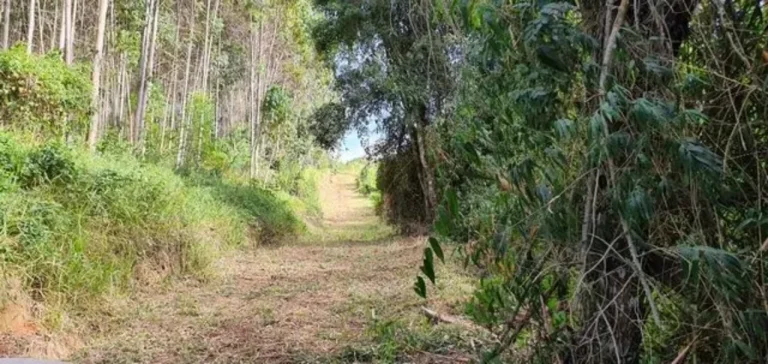 Imagem Sítio à venda em Piedade-SP, bairro Piedade, com 0,01 m² de área: oportunidade imperdível!