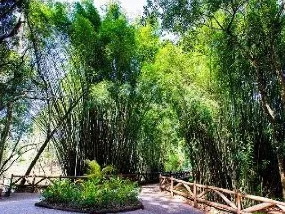 Imagem Terreno à venda, 1144 m² por R$ 1.250.000,00 - Condomínio Saint Patrick - Sorocaba/SP