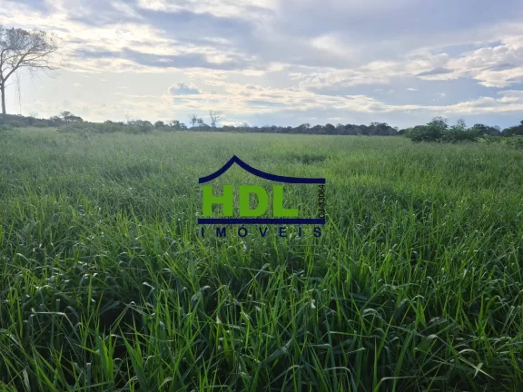 Imagem 110 Alqs Top em Cocalinho MT