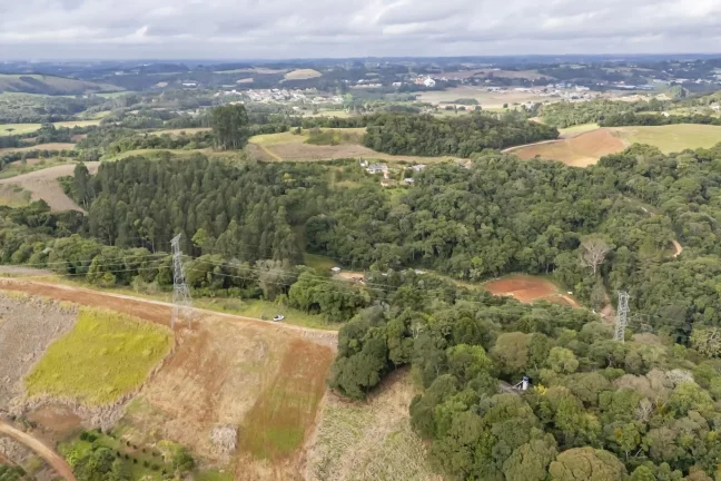 Imagem Chácara em Campo Magro com 24.200 m²