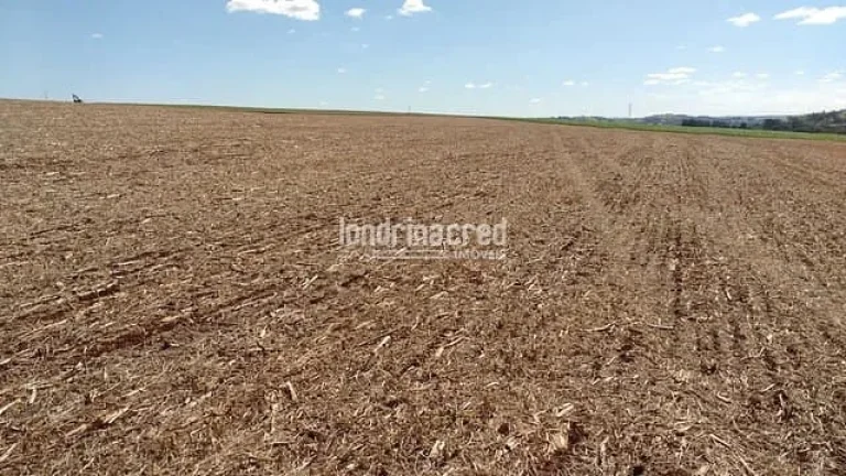 Imagem Chácara à venda 3000M², Centro, Cornélio Procópio - PR