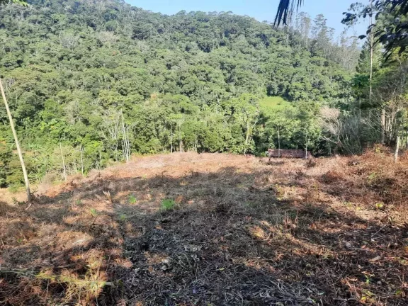 Imagem Terreno rural com 3.000 m² no Bairro Alto Pitanga, Nova Trento/SC