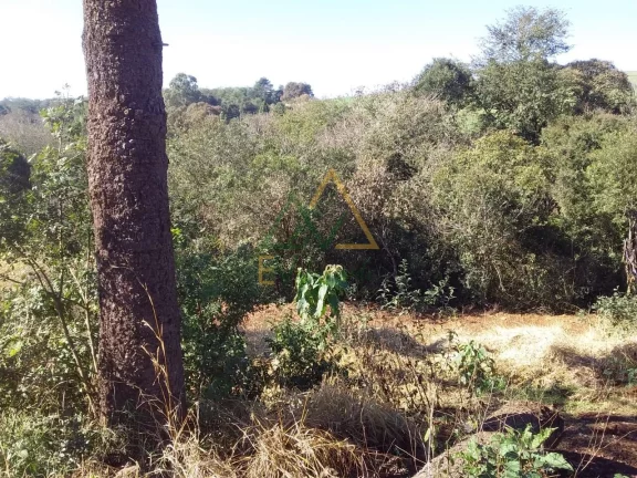 Imagem TERRENO CANTAGALO - PR