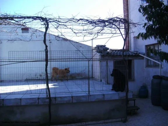 Imagem Casa para Venda em Santa Maria / RS no bairro Pé de Plátano