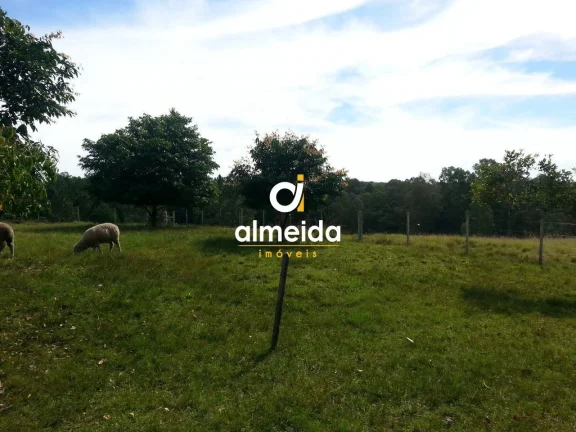 Imagem Chácara 2 dormitórios à venda Zona rural Santa Maria/RS
