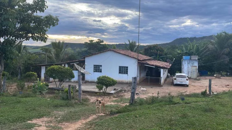 Imagem Fazenda à Venda – 117,3 Hectares em Luziânia-GO