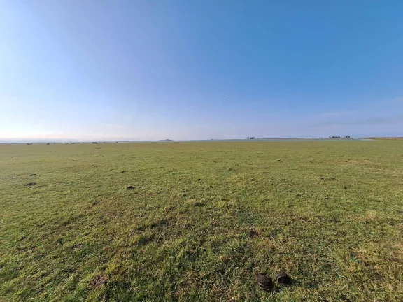 Imagem Excelente Área de 130 Hectares para Cultivo de Arroz – Viamão/RS