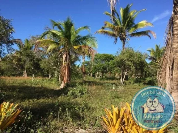 Imagem Gleba de Terra para Venda no Litoral -Região Caraívas R$750.000,00