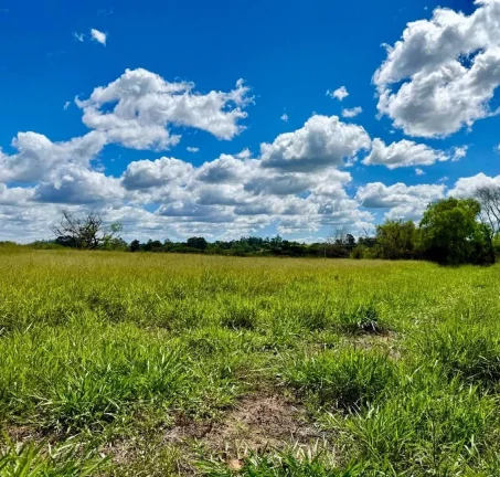 Imagem INVESTIDORES!!! - Sítio a venda com 3 Hectares, Pimenta, Viamão/RS