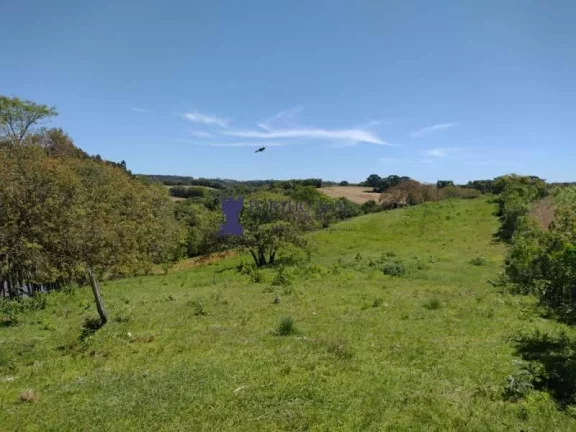 Imagem CHÁCARA COM 143.897M² NA REGIÃO DE BALSA NOVA