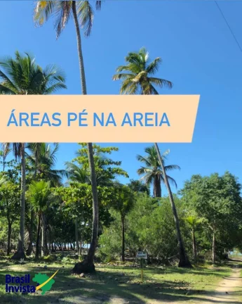ÁREA PÉ NA AREIA NO EXTREMO SUL DA BAHIA