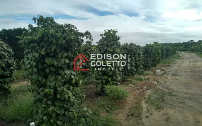 Imagem Fazenda/Sitio, Residencial/Comercial para Venda, Centro, Caraiva