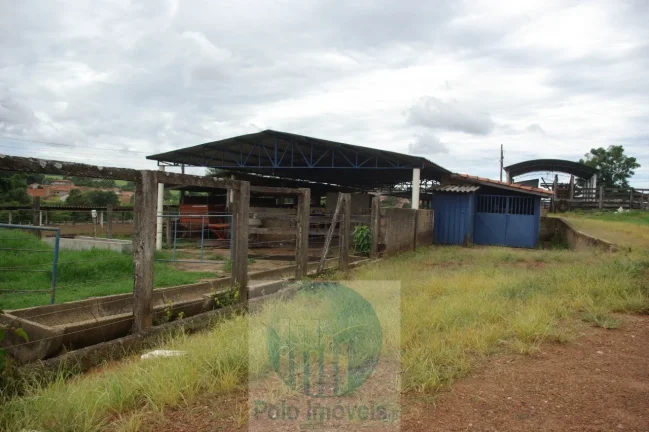 Imagem Fazenda 59 alqueires para soja, milho, gado em Cássia dos Coqueiros - SP . Temos autorização para venda.