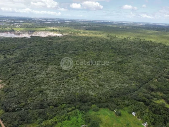 Imagem Excelente área em Macaíba - 80ha