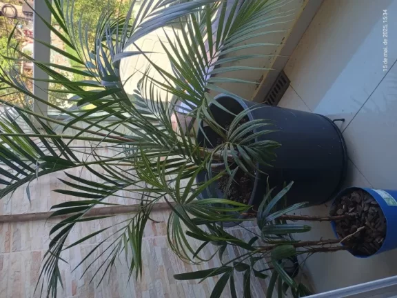 Imagem “Esse sobrado é tipo 2 em 1: casa linda + espaço pra ganhar dinheiro!”