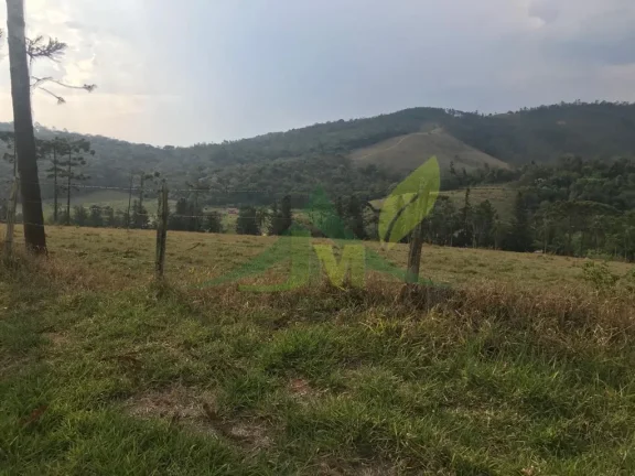 Imagem Fazenda Magnífica em Piracaia: Um Refúgio de Luxo em Meio à Natureza