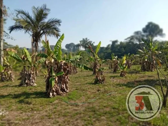 Imagem Chácara 2,5 hectares no Areia Branca