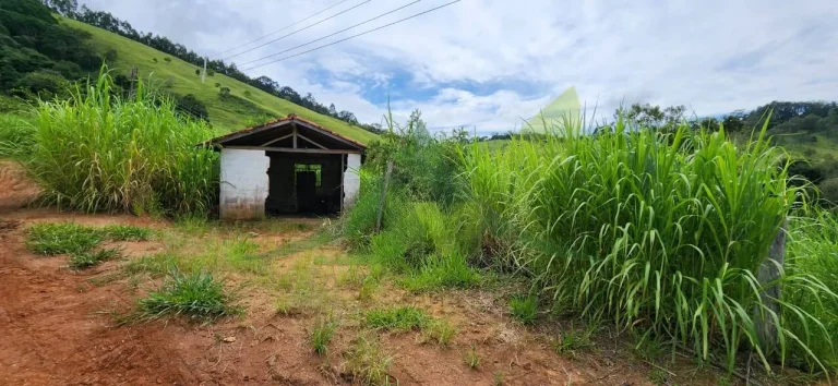 Imagem Sítio a venda em Piracaia com 5 Alqueires