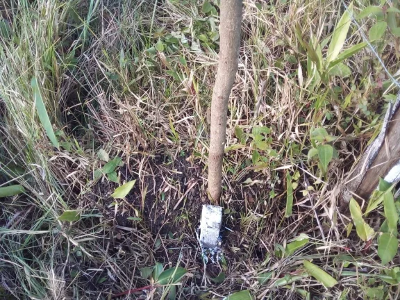 Imagem Terreno para Venda em Itanhaém, Aguapeú