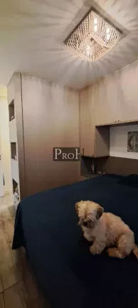 Imagem Cobertura com 3 Quartos à Venda, 220 m² em Santa Maria - São Caetano Do Sul