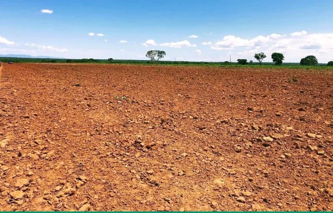 Imagem FAZENDA LUXUOSA À VENDA EM FORMOSA GOIÁS