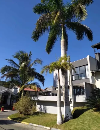Imagem Casa moderna com 3 dormitórios sendo 1 suíte e 2 demi e 2 vagas, Ariribá - Balneário Camboriú/SC