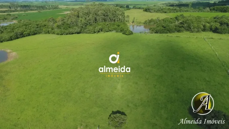 Imagem Chácara com 6,2 ha