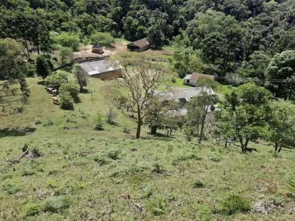 Imagem Área à venda (65,53ha) - Águas Mornas/SC