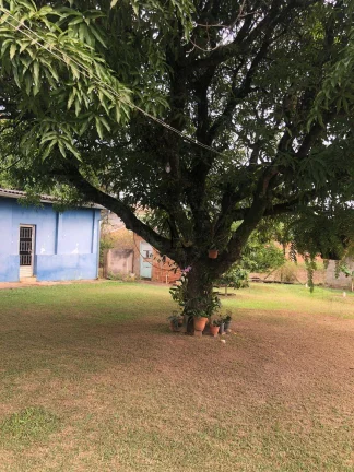 Imagem Chácara à venda em Campinas, Village Campinas, com 4 quartos, 140m2